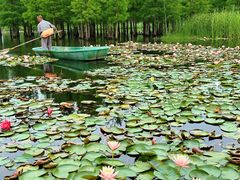 -白鹭湾湿地公园