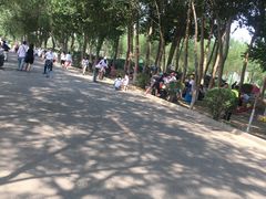 -丁香湖公园
