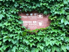 -熊猫主题餐厅