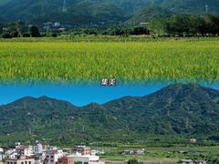 -青礁慈济宫