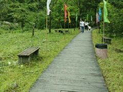 -九龙江国家森林公园