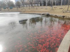 -西海子公园