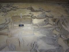 -洛阳周王城天子驾六博物馆