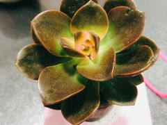 -海底捞火锅(杭州萧山宝龙广场店)