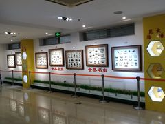 -上海昆虫博物馆