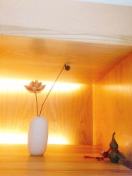 -深圳原色医疗美容