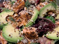 -百好乐宠物友好餐厅(朝外大街店)