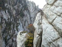 -嵩山少林文化旅游景区