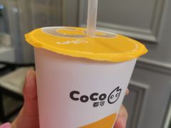 芒果绿茶-CoCo都可(建外SOHO店)