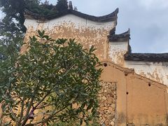 -杨家堂村