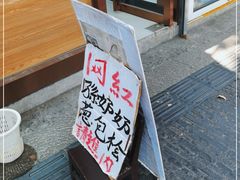 -孙奶奶葱包桧
