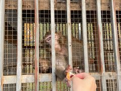 -第五季龙水凤港生态露营农场