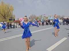 -荷兰花海