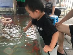 -丰台花园