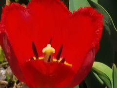 -长春公园(普阳街道)