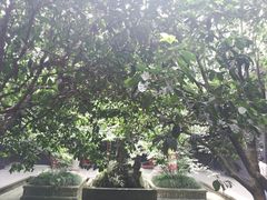 -宝光寺