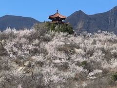-白水寺森林公园