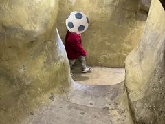 -长鹿旅游休博园