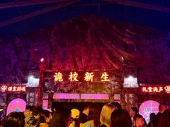 -武汉园博园(武汉自然博物馆)