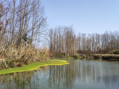 -桤木河湿地公园