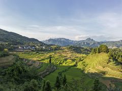 -重庆睡佛山森林公园