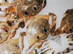 -韩风源烧烤涮自助餐厅(汝南店)