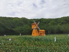 -苏州上方山国家森林公园