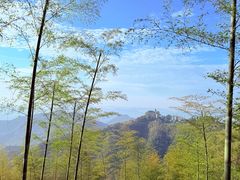 -莫干山风景区