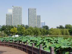 -西海子公园
