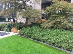 -上海宝华万豪酒店