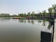 -上海长兴岛郊野公园