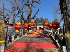 -红螺寺