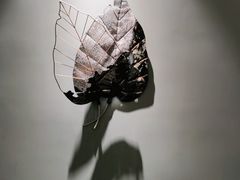 -泰适SPA馆丨精油·按摩·足道(后海地铁口店)