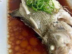 -云中小雅