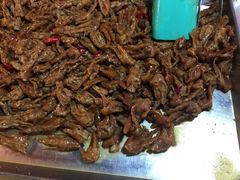 瑞丰夜市-瑞丰夜市