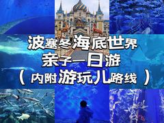 -哈尔滨波塞冬海底世界