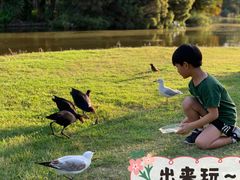 -墨尔本皇家植物园