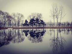 -大兴滨河森林公园