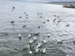 -青海湖二郎剑景区