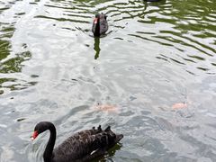 -海南热带野生动植物园