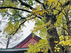 -青岛崂山太清宫