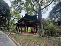 -柳侯公园