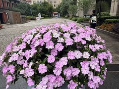 -瑞金医院-院史陈列馆