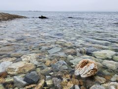 -养马岛旅游度假区