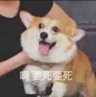-CoCo都可(世纪广场店)