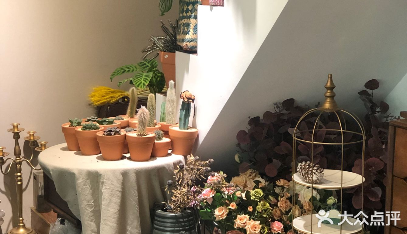 Yuyu推荐 请锁死这家花店「木里探花」