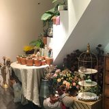Yuyu推荐 请锁死这家花店「木里探花」