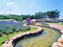 -薰衣草NE庄园