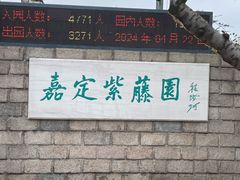 -嘉定紫藤园