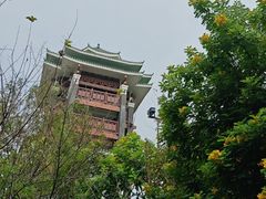 -王借岗森林公园